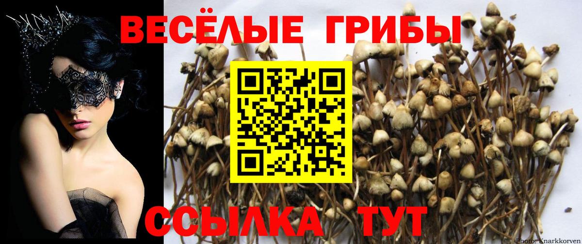 Псилоцибиновые грибы Cubensis  Галлюциногенные грибы GOLDEN TEACHER  Нефтеюганск  Вход с VPN 